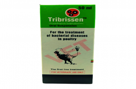 Tribrissen Oral Suspension - 50ml!